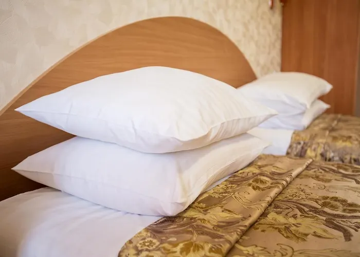 Bukovyna Hotel Чернівці